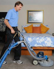 cleaning carpet